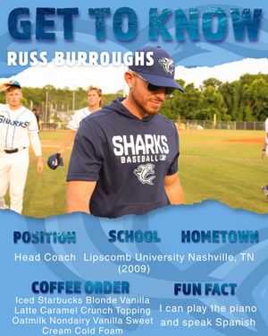 Image post by @ilmsharks on Instagram