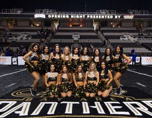 Image post by @panthersdanceteam on Instagram