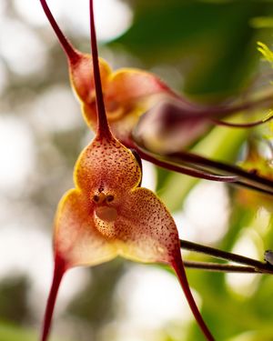 Image post by @discovery on Instagram