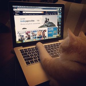 Image post by @amazon on Instagram