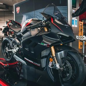 Image post by @panigalers on Instagram