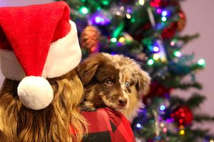 Image post by @Photos With Tucker on Facebook