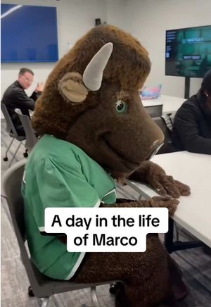 Video post by @marshallufamily on TikTok