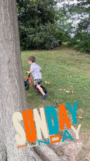 Video post by @thehuntingchallenge on Instagram