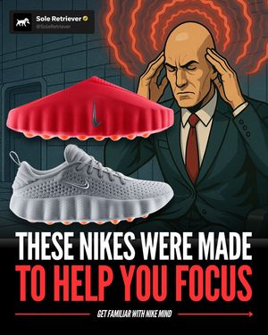 Image post by @soleretriever on Instagram
