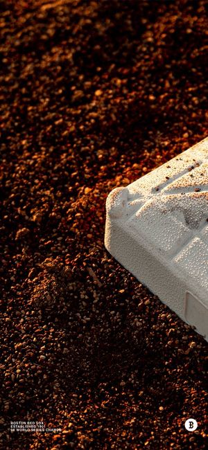 Image post by @fenwaypark on Twitter