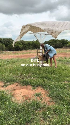Video post by @emmaseabourn on TikTok