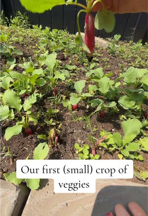 Video post by @verojoncas on TikTok