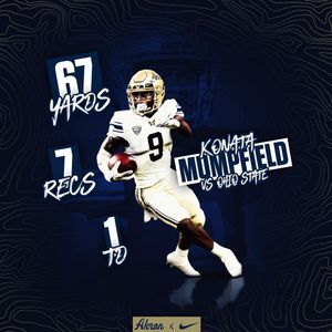 Image post by @zipsfb on Instagram
