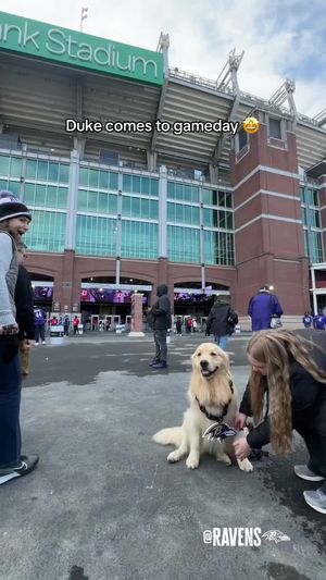Video post by @ravens on TikTok