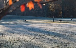 Image post by @nbc10boston on Instagram
