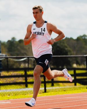 Image post by @nicoklementzos on Instagram