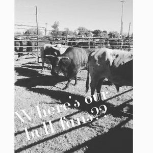 Image post by @smithprorodeos on Instagram
