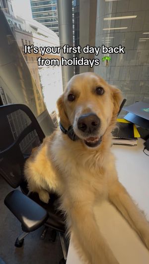 Video post by @petcircle on TikTok