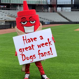 Image post by @thechicagodogs on Instagram