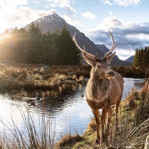 Image post by @bbcearth on Instagram