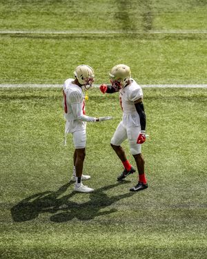 Image post by @uflstallions on Instagram