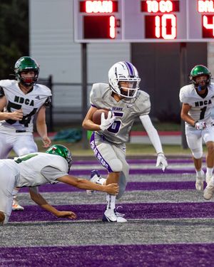 Image post by @aahsfb on Instagram