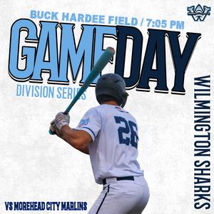 Image post by @ilmsharks on Instagram