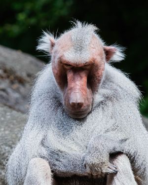 Image post by @shotbycristan on Instagram