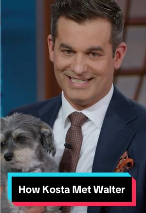 Video post by @thedailyshow on TikTok