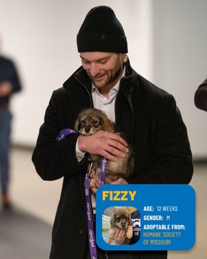 Image post by @StLouisBlues on Twitter