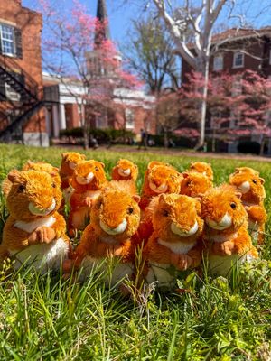 Image post by @ohio.university on Instagram