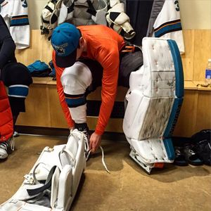 Image post by @sanjosesharks on Instagram