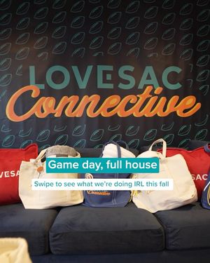 Image post by @lovesac on Instagram