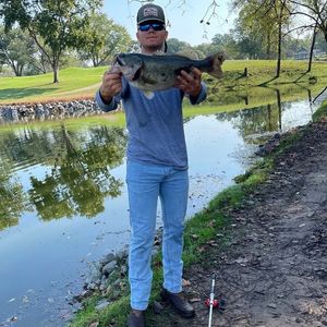 Image post by @jackingold15 on Instagram