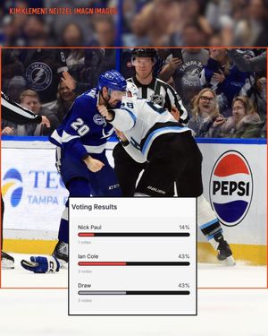 Image post by @hockeyfights on Instagram