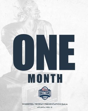 Image post by @wuerffel_trophy on Instagram