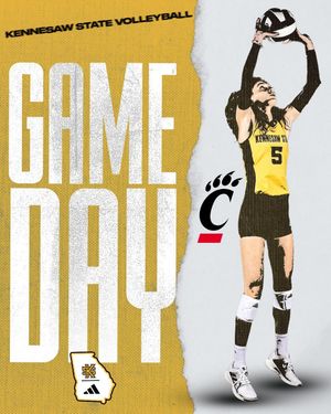 Image post by @ksuowlsvb on Instagram