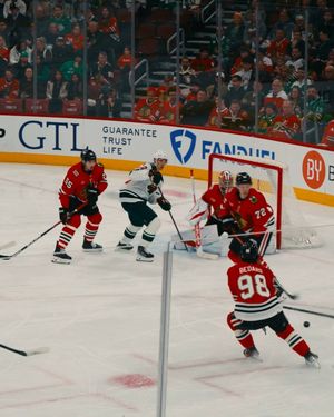 Video post by @WildGivesBack on Twitter