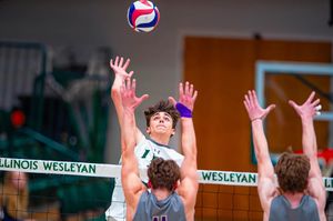 Image post by @a.petersonphoto on Instagram