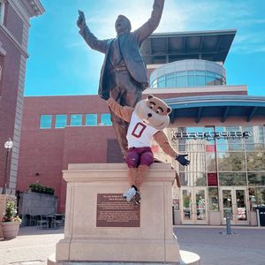 Image post by @goldythegopher on Instagram