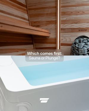Image post by @plunge on Instagram