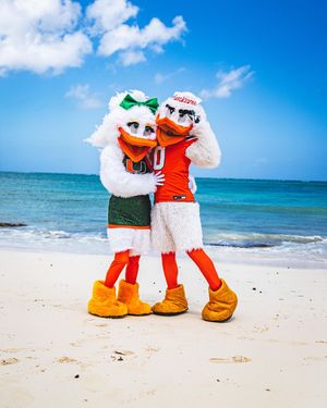 Image post by @univmiami on Instagram