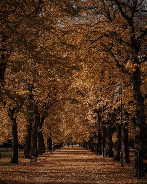 Image post by @kate.simple.life on Instagram
