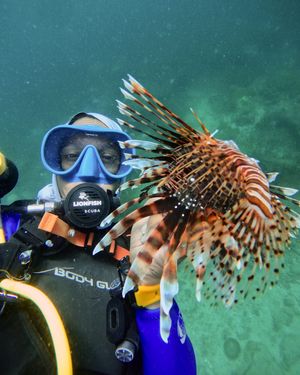 Image post by @lionfishscuba on Instagram
