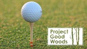 Image post by @evolvegolf on Instagram