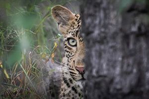 Image post by @guybrunskillphoto on Instagram