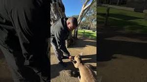 Video post by @larams on YouTube