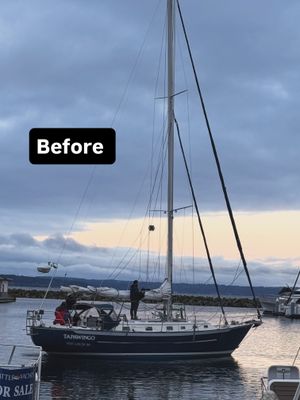 Image post by @sailing_with_phoenix on Instagram