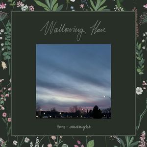 Image post by @wallowinghour on Instagram