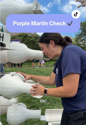 Video post by @disneyparks on TikTok