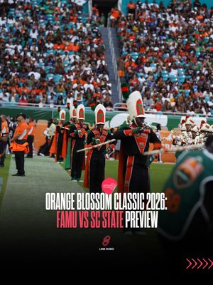 Image post by @hbcubuzz on Instagram