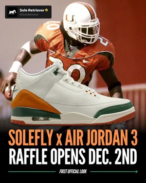 Image post by @soleretriever on Instagram