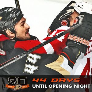 Image post by @anaheimducks on Instagram