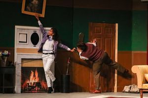Image post by @dshs.theatre on Instagram